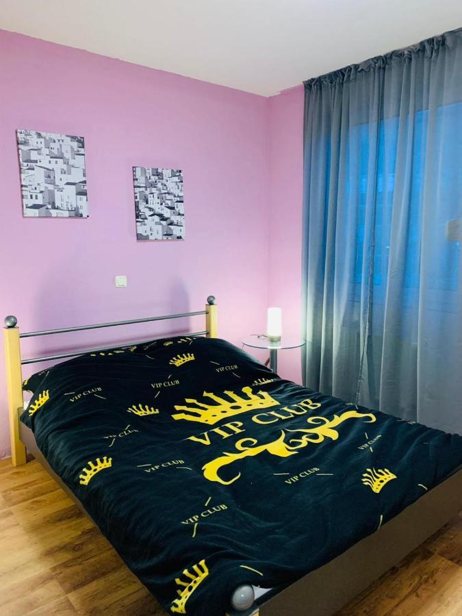 Modern And Central Apartment, Near Rhein, Museums & Event Venues, Fully Furnished بون المظهر الخارجي الصورة